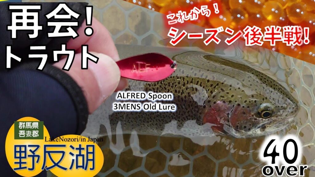【群馬野反湖】再会!野反湖トラウトフィッシング/Reunion! Lake Nozori Trout Fishing #群馬トラウト #ブルーバックレインボー #野反湖釣り