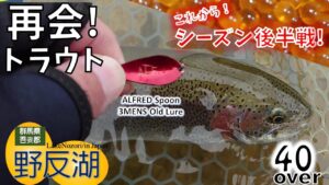 【群馬野反湖】再会!野反湖トラウトフィッシング/Reunion! Lake Nozori Trout Fishing #群馬トラウト #ブルーバックレインボー #野反湖釣り