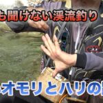 井上聡 渓流釣り  重いオモリとハリの距離 Satoshi Inoue Mountain stream fishing that no one can hear