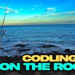 Starting To Feel A Lot Like COD Season | North East Cod Fishing