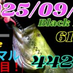 ロクマル１１本目！５０Upで良いんだが・・・【矢作川ブラックバス６５チャレンジ】