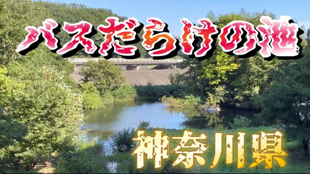 【バスの天国だった】こんな所に最高のポイントがあるなんて！#bassfishing #バス釣り#相模川