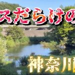 【バスの天国だった】こんな所に最高のポイントがあるなんて！#bassfishing #バス釣り#相模川