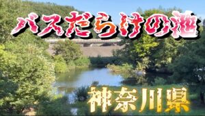 【バスの天国だった】こんな所に最高のポイントがあるなんて！#bassfishing #バス釣り#相模川