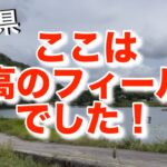 【ラージとスモールが混在するフィールド】長野県は野尻湖だけでは無い！#ラージマウスバス#スモールマウスバス#bassfishing #中綱湖#青木湖#木崎湖