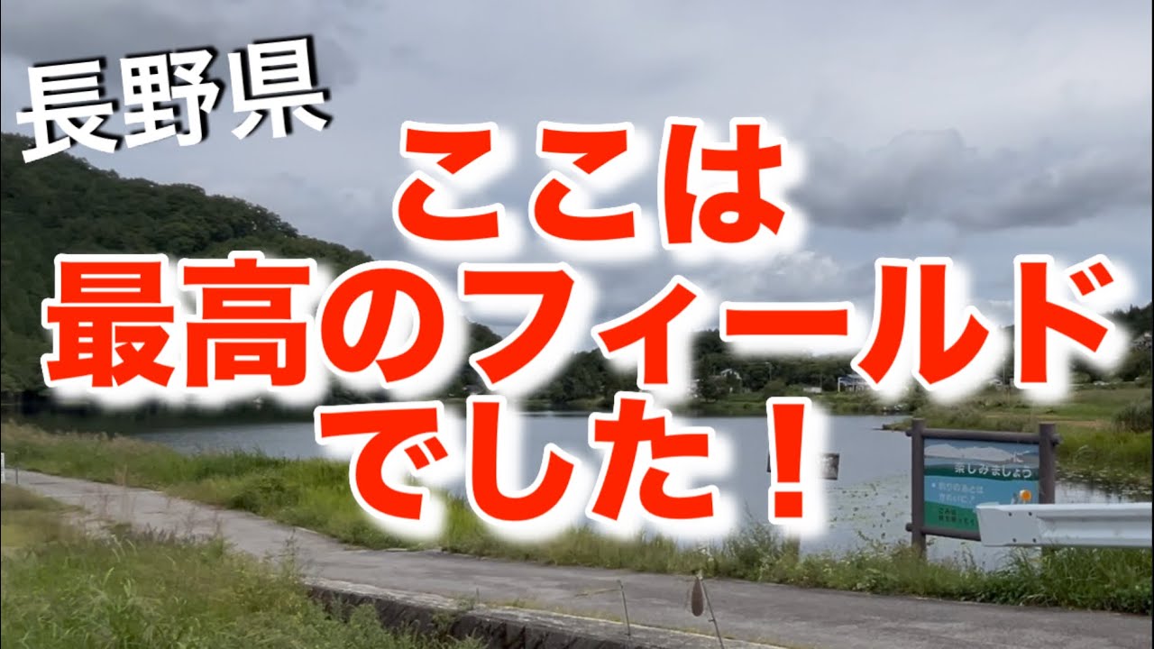 【ラージとスモールが混在するフィールド】長野県は野尻湖だけでは無い！#ラージマウスバス#スモールマウスバス#bassfishing #中綱湖#青木湖#木崎湖