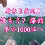 木崎湖ワカサギ釣り・爆釣ボートfishing
