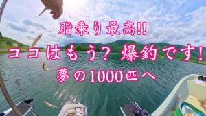 木崎湖ワカサギ釣り・爆釣ボートfishing