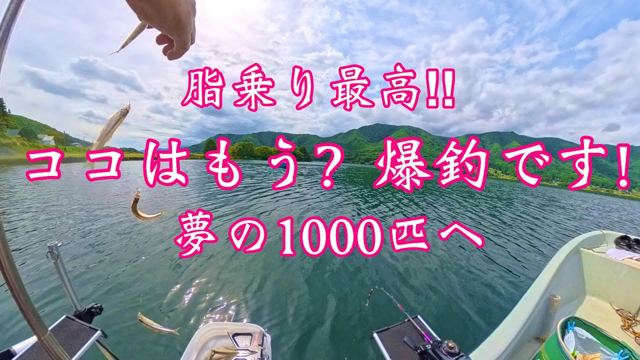 木崎湖ワカサギ釣り・爆釣ボートfishing