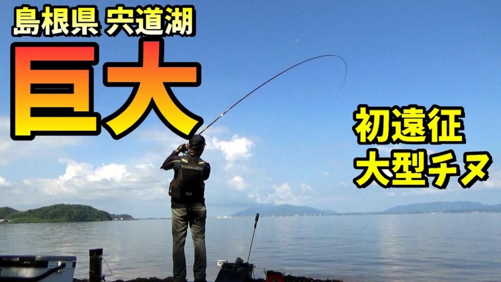 日本の美しい湖畔で巨大チヌ！噂を聞いて遠征したら… in 島根県宍道湖