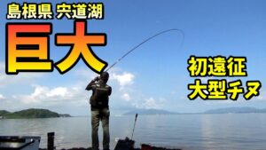 日本の美しい湖畔で巨大チヌ！噂を聞いて遠征したら… in 島根県宍道湖