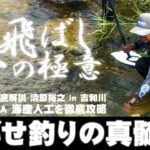【鮎】泳がせ釣りの真髄！上飛ばしの極意 清原裕之 in 吉和川 背掛DNA海産人工を徹底攻略
