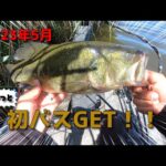 【バス釣りin印旛沼】やっとDESTINOバスに出会えた！