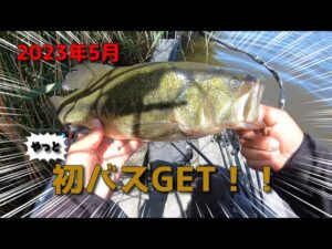 【バス釣りin印旛沼】やっとDESTINOバスに出会えた！