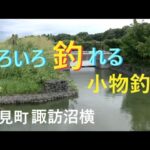 諏訪沼横の水路で、いろいろ釣れる小物釣り【吉見町】☆smallfishing in Saitama  Japan☆