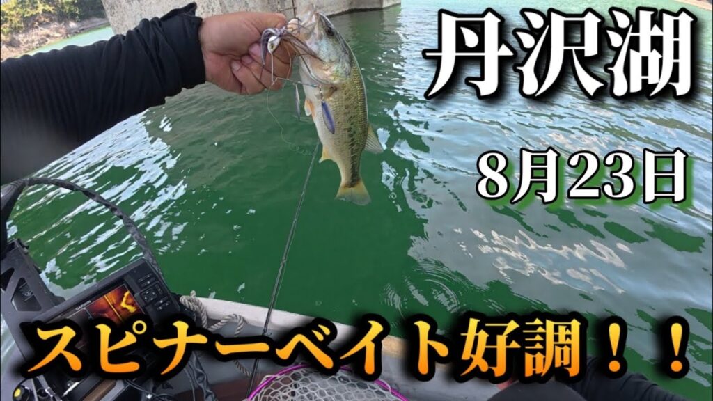 スピナーベイトでよく釣れる湖は丹沢湖　#バス釣り#丹沢湖#ルアーフィッシング