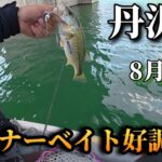 スピナーベイトでよく釣れる湖は丹沢湖　#バス釣り#丹沢湖#ルアーフィッシング