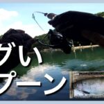 暑くても釣れたエグいスプーンはコレ【エリアトラウト】【管理釣り場】【裾野フィッシングパーク】【すそのフィッシングパーク】