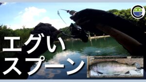 暑くても釣れたエグいスプーンはコレ【エリアトラウト】【管理釣り場】【裾野フィッシングパーク】【すそのフィッシングパーク】