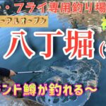 【管理釣り場・八丁堀】リニューアルオープン前の釣り場で釣りしたら最高すぎた!!