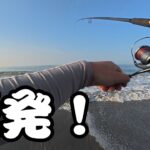 【遠州灘サーフ】で釣りしたら魚だらけでした