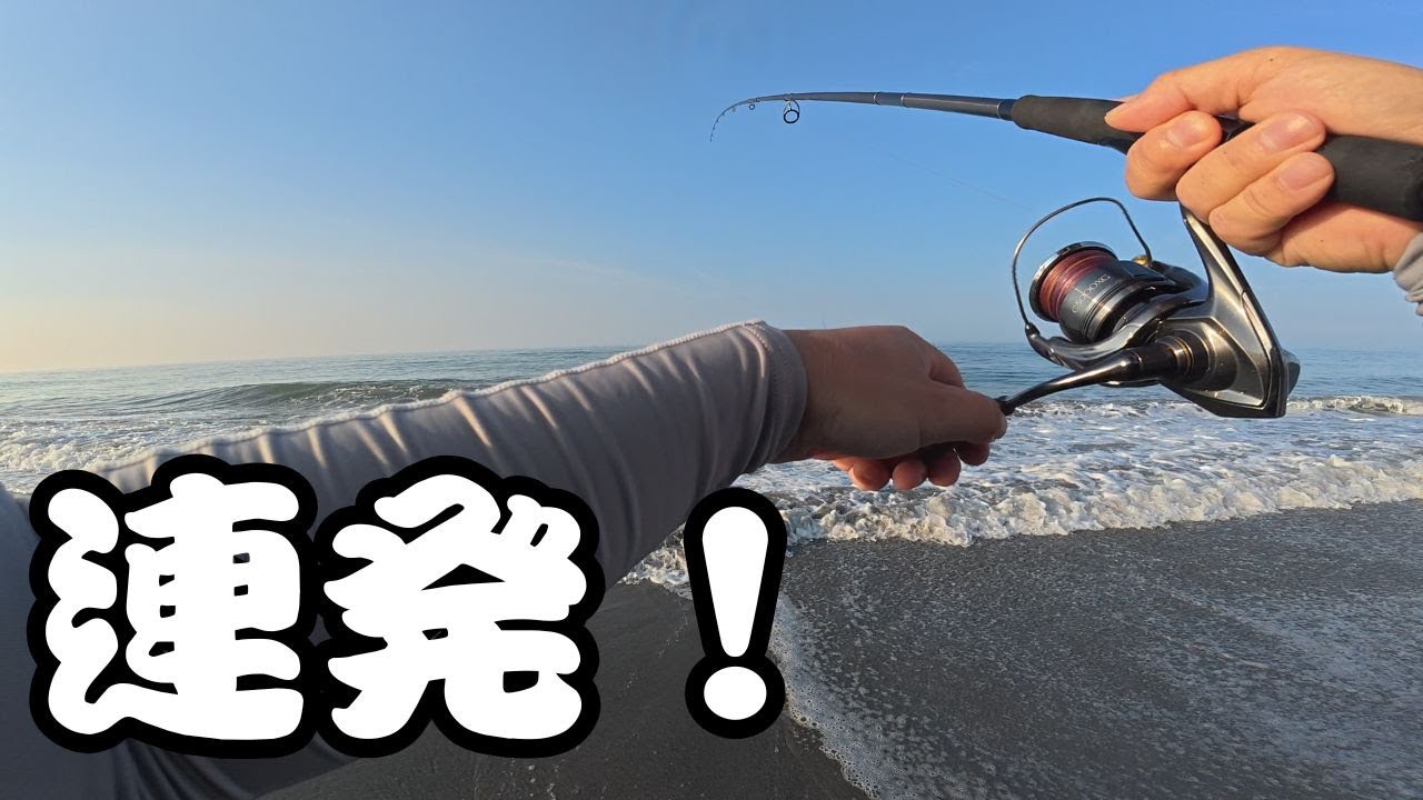 【遠州灘サーフ】で釣りしたら魚だらけでした