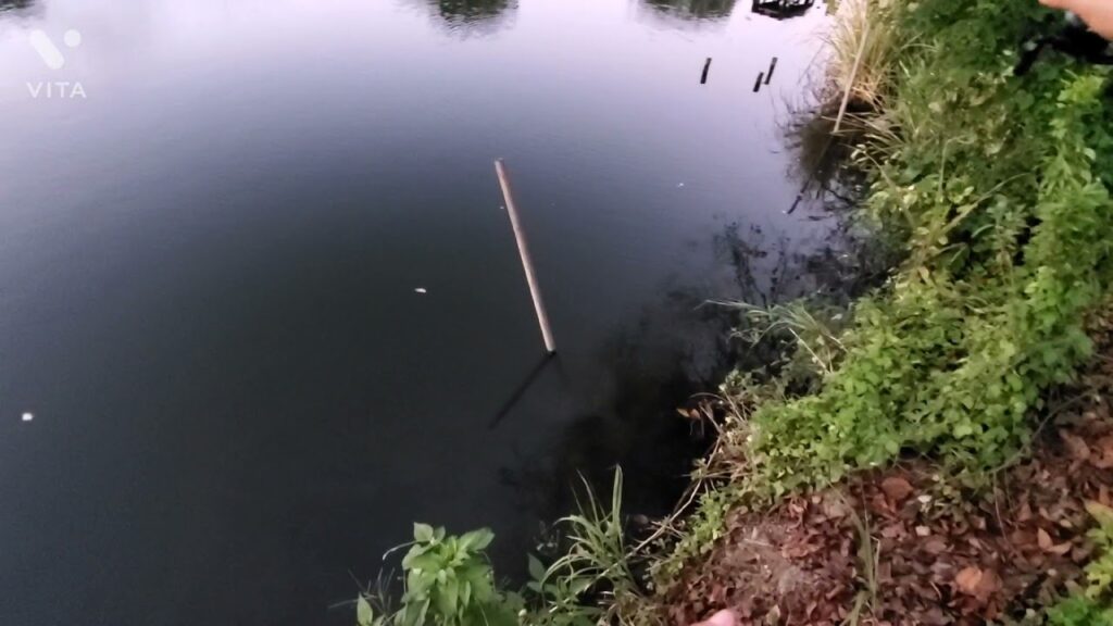 近藤沼釣り第２弾！　ボウズ編