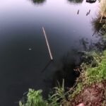 近藤沼釣り第２弾！　ボウズ編