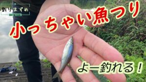 【小物釣り】近所の川で簡単楽しい魚釣り【川釣り】