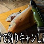 ガチ荒れの海で釣りキャンプしたらヤバかったｗｗｗ
