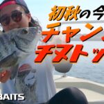 浜名湖チヌトップ！初秋のこれからがチャンス