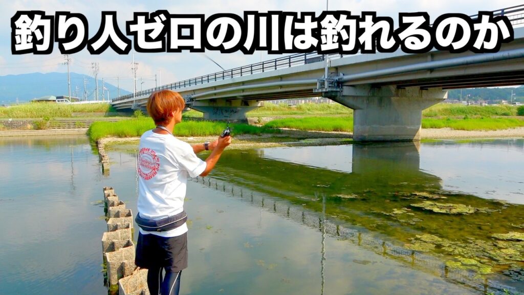 【石川】バスは居ないと言われてる大阪の川でバス釣り楽しんできた。