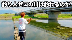 【石川】バスは居ないと言われてる大阪の川でバス釣り楽しんできた。
