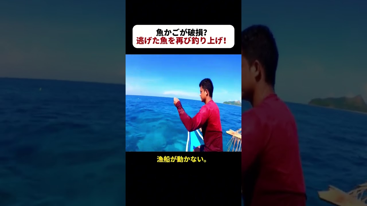 魚かごが破損！？ 逃げた魚を再び釣り上げ！ #海釣りチャレンジ #兄弟の大漁 #魚かごの秘密 #海底の大物 #驚きの収穫