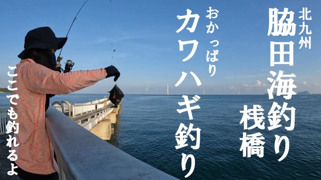 【脇田海釣り桟橋】北九州の管理釣り場でカワハギを狙う【好きっちゃ釣行記】