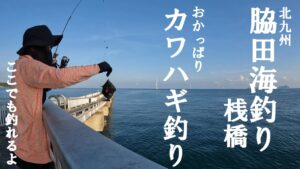 【脇田海釣り桟橋】北九州の管理釣り場でカワハギを狙う【好きっちゃ釣行記】