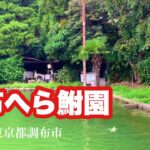 踏切が鳴り続ける東京都内の釣り堀 調布へらぶな園