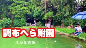 踏切が鳴り続ける東京都内の釣り堀 調布へらぶな園