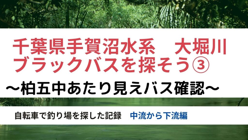 【手賀沼バス釣り】手賀沼水系　大堀川のバス釣り場探検③（中流から五中前迄）