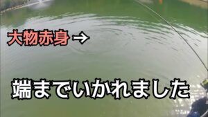 【管理釣り場】デカロックを釣りたい