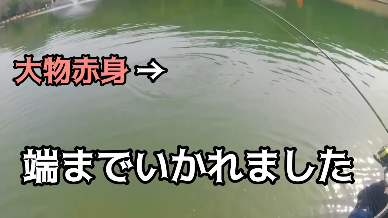 【管理釣り場】デカロックを釣りたい