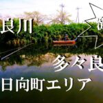 【多々良沼、多々良川、ルアー、ウキ釣り】【利根川＆荒川水系、バス釣り、コイ釣り、雷魚釣り、ナマズ釣り、フィシング、埼玉釣り、関東釣り、群馬釣り、日向町エリア】