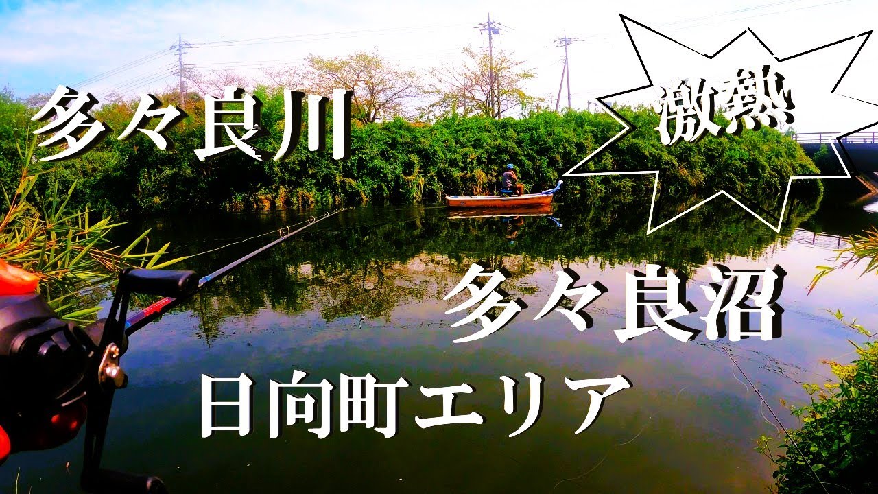 【多々良沼、多々良川、ルアー、ウキ釣り】【利根川＆荒川水系、バス釣り、コイ釣り、雷魚釣り、ナマズ釣り、フィシング、埼玉釣り、関東釣り、群馬釣り、日向町エリア】