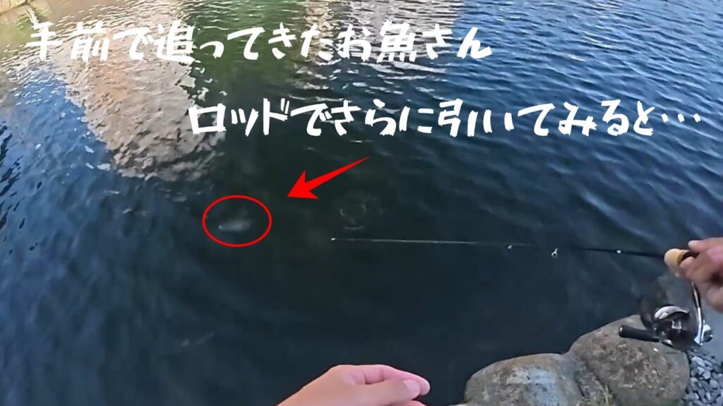 【朝霞ガーデン】８月３０日釣行記録【エリアトラウト】