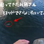 【朝霞ガーデン】８月３０日釣行記録【エリアトラウト】