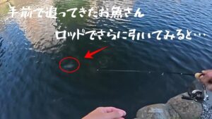 【朝霞ガーデン】８月３０日釣行記録【エリアトラウト】