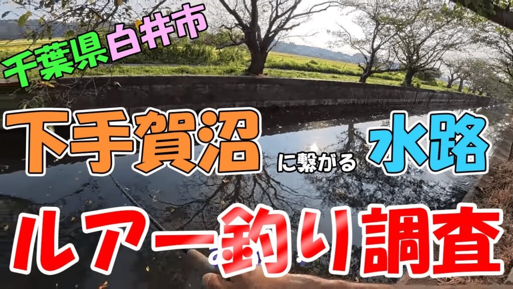 千葉県白井市にある下手賀沼に繋がる水路でルアー釣りしてみた結果...