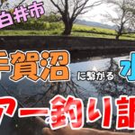 千葉県白井市にある下手賀沼に繋がる水路でルアー釣りしてみた結果...