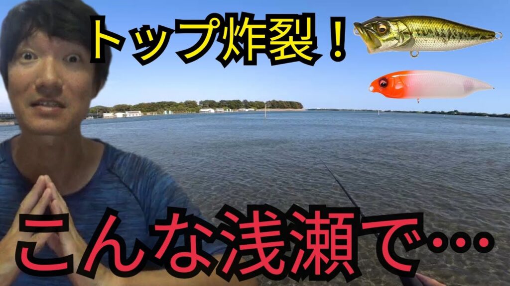 浜名湖の超浅瀬でルアー釣りしたら大物が！〜食わせの展開へ