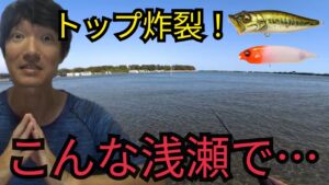 浜名湖の超浅瀬でルアー釣りしたら大物が！〜食わせの展開へ